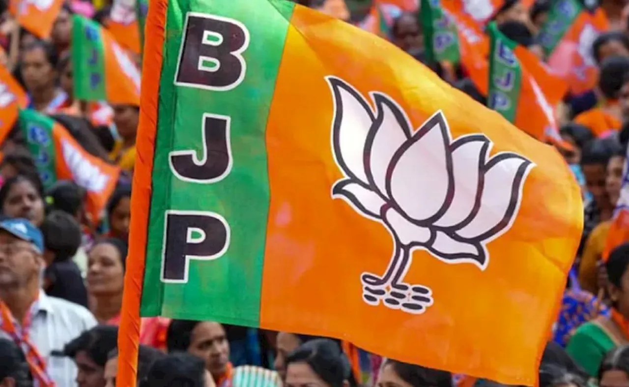 कुंदरकी में 65% मुस्लिम वोट लेकिन फिर भी जीत गई BJP, यूपी के मुसलमानों ने क्&zwj;यों दिया वोट?