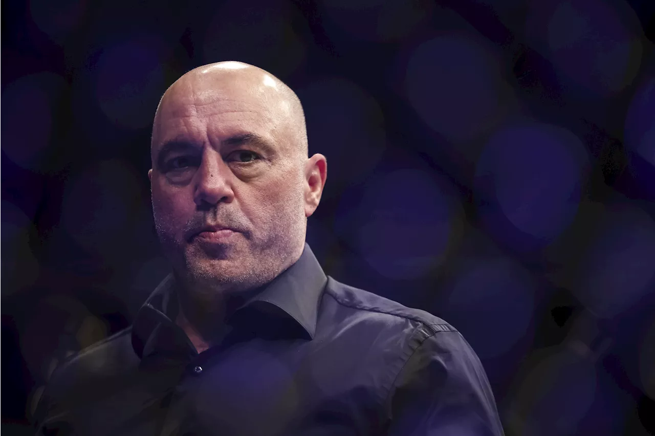 Joe Rogan Podcast Guest Worries Fans During Show—'Thought Bro's Neck Broke'