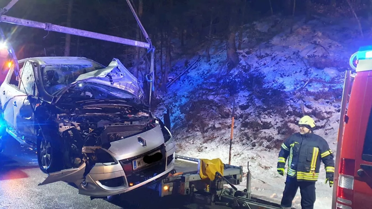 Wiener Lenker landete in St. Aegyd im eiskalten Bach