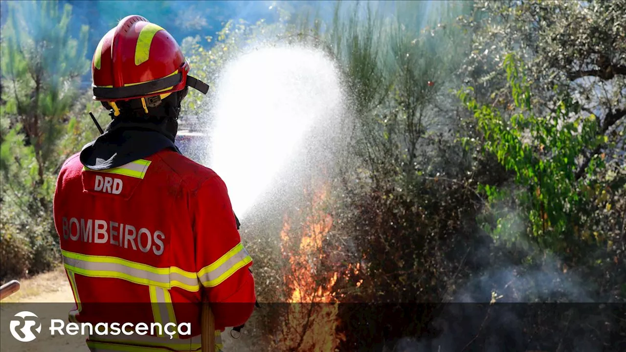 Incêndio na Serra da Pescaria, na Nazaré, controlada