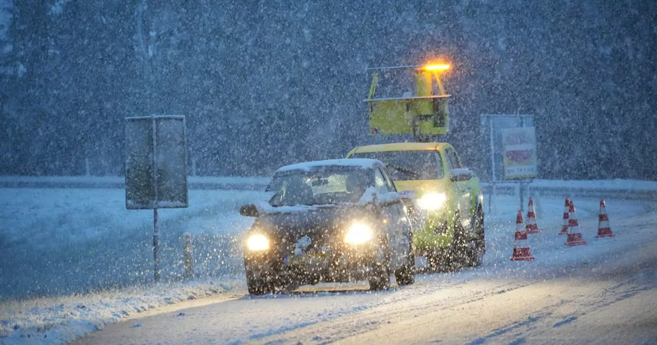 Wildlands treurt, Máxima in Assen en kippen opgesloten: het nieuws van afgelopen week in Drenthe