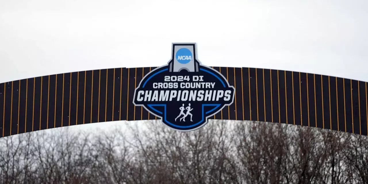 Results from the 2024 NCAA DI CrossCountry Championships News