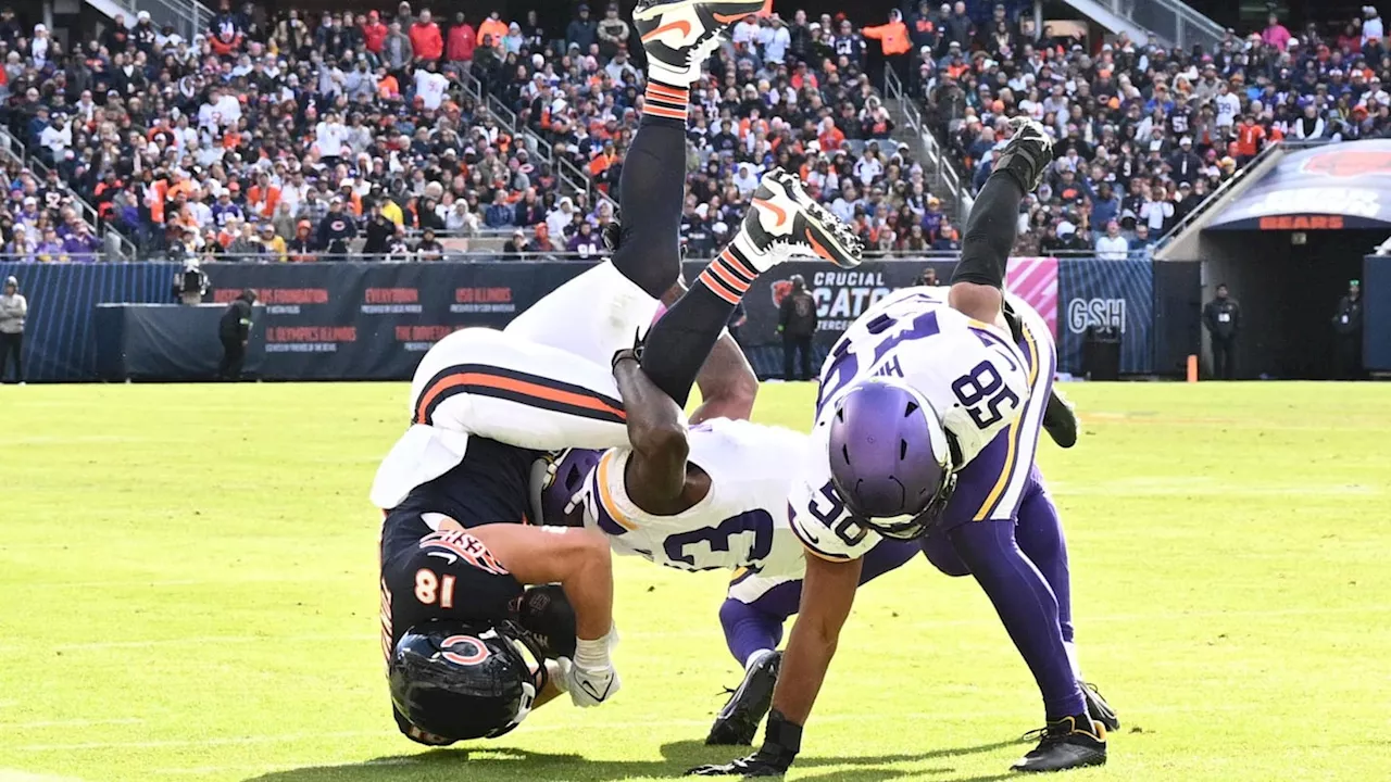 Chicago Bears and Minnesota Vikings Week 12 Game Day Preview