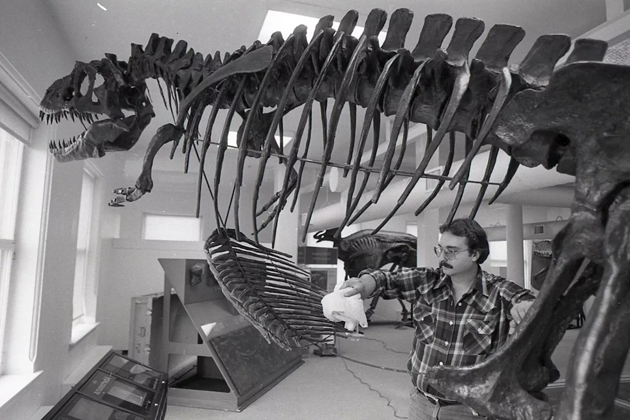 Dinosaurs Roamed Sault Ste. Marie Museum in 1984