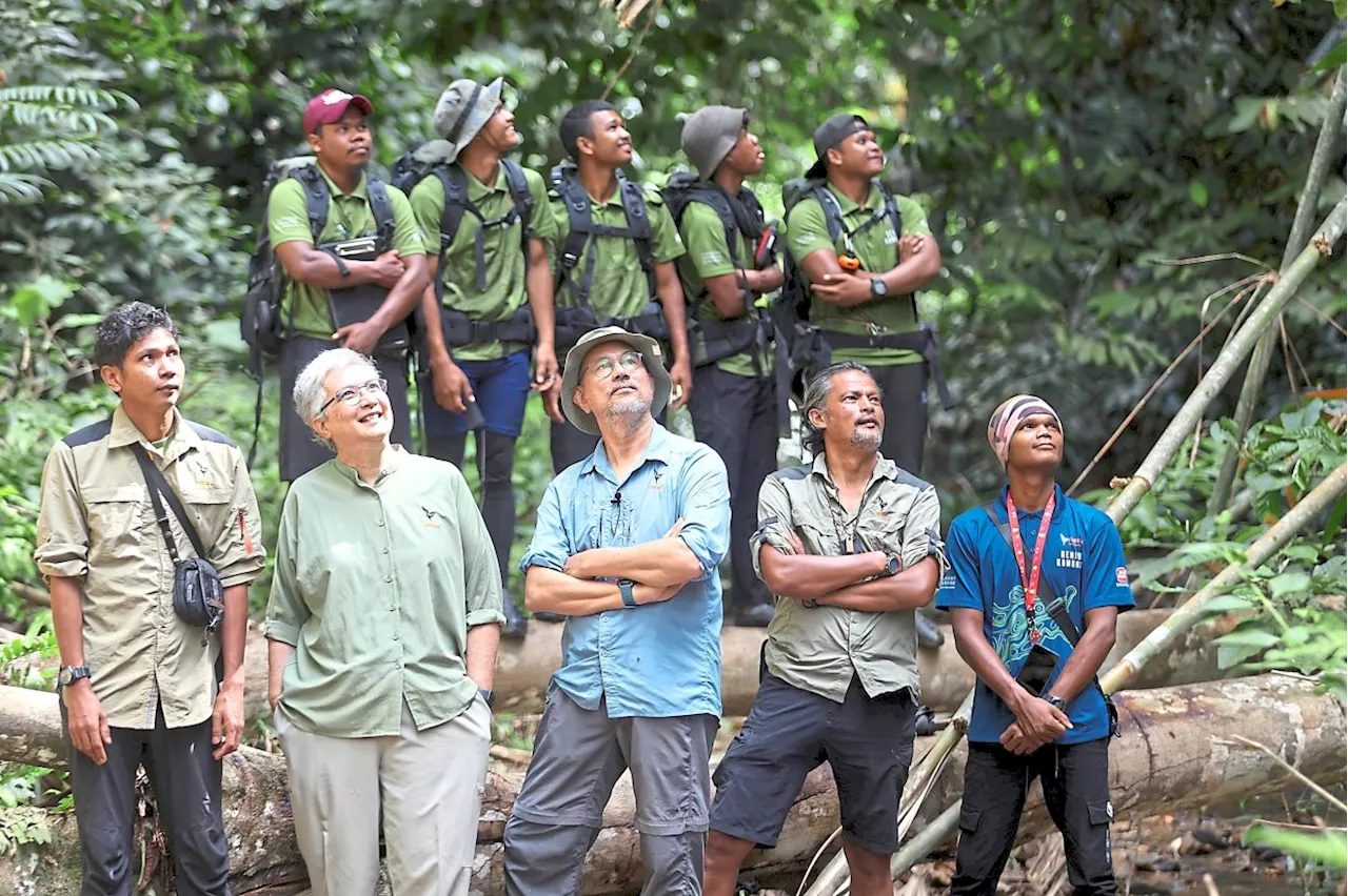 From forest guardians to wildlife saviours