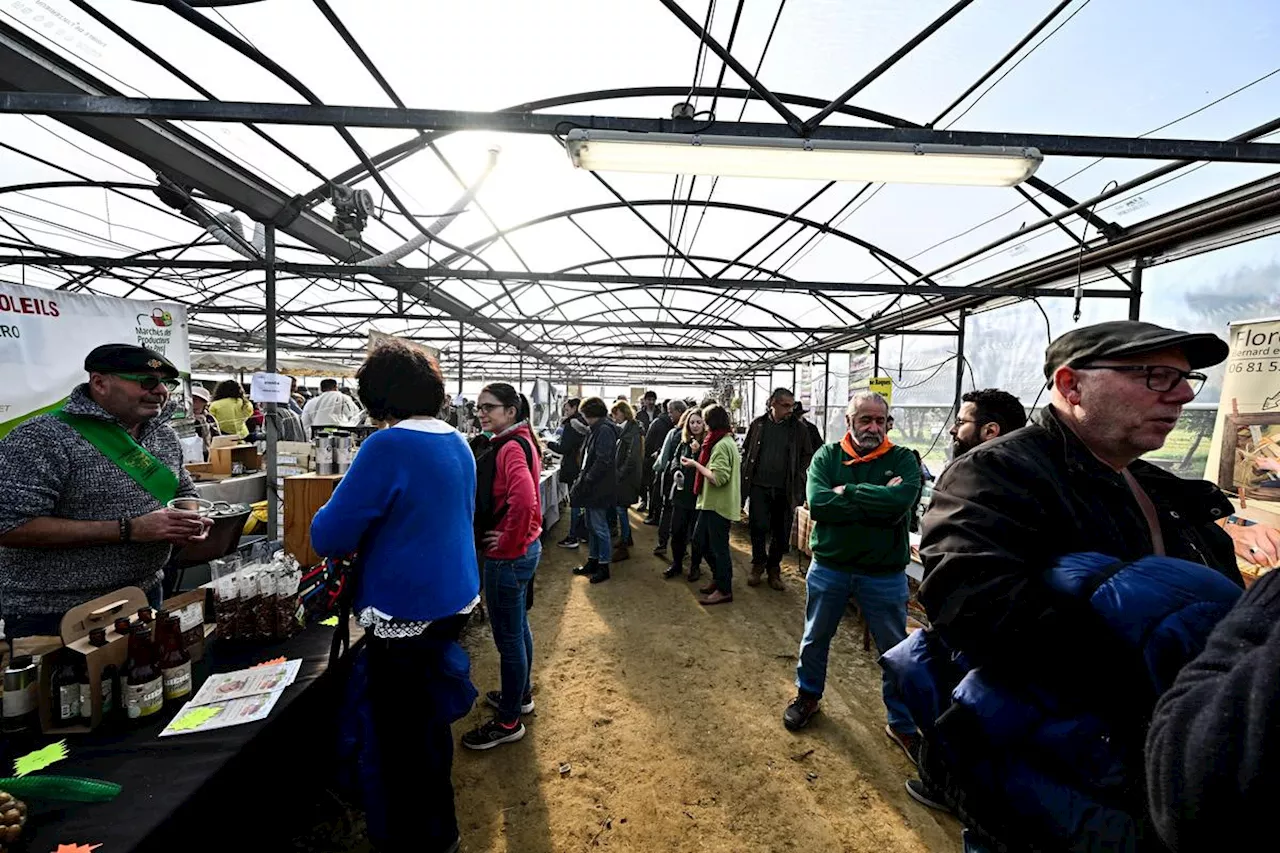 Fête de l’arbre à Montesquieu : une popularité aux racines profondes en images