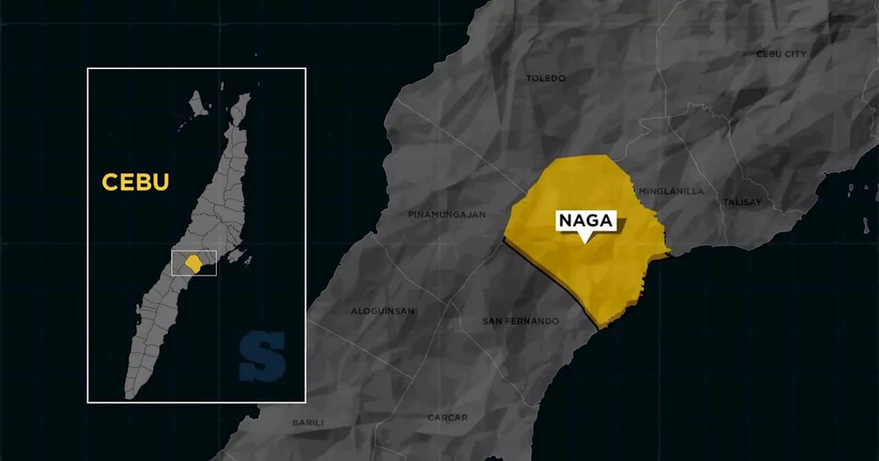 Father Kills Son in Naga City After Argument