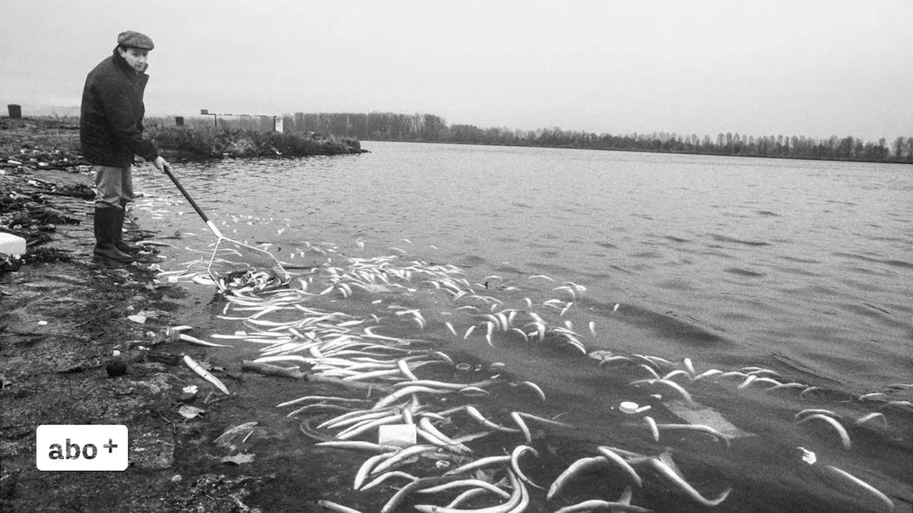 Vergiftete Kinder und tote Fische: Die Schattenseiten der Schweizer Industrialisierung