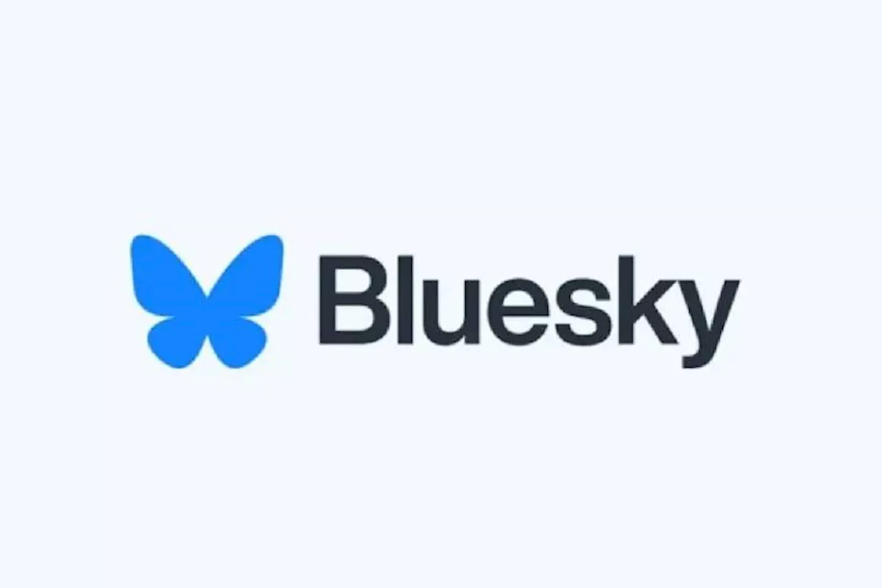 Mengenal Bluesky, Platform Mirip X yang Alami Lonjakan Pengguna Pekan Ini