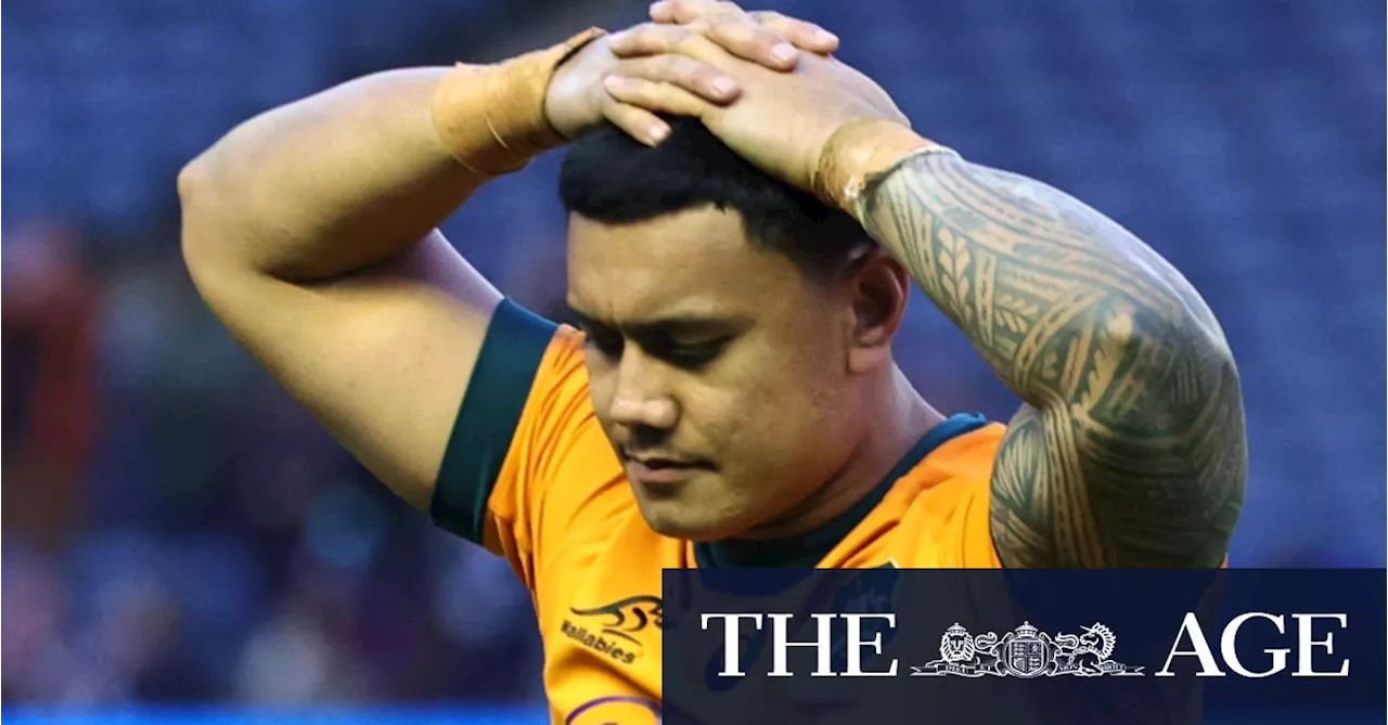 Wallabies Brutalized by Scotland in Rugby Test