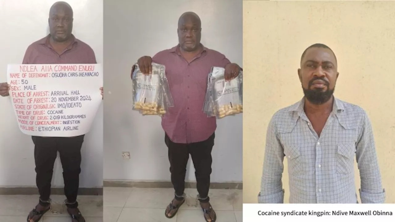 NDLEA Seizes Two Containers of Opioids Worth N4.3 Billion