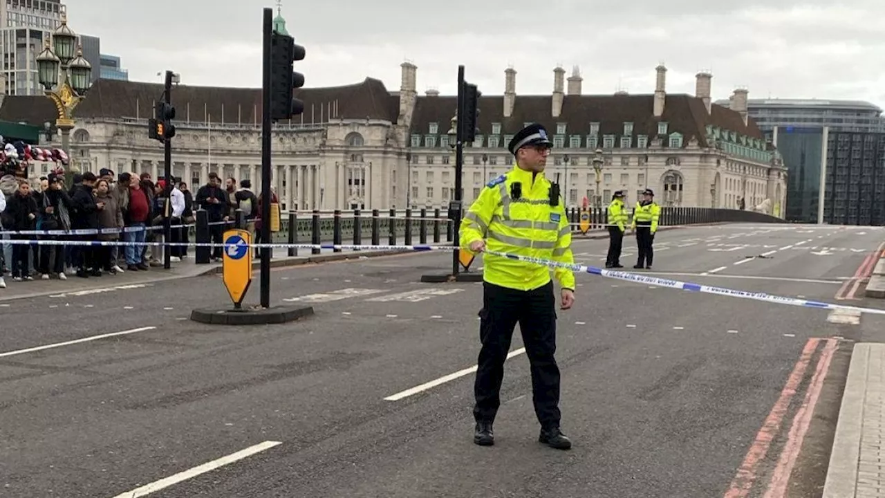 Four Arrested After Stabbing on London's Westminster Bridge