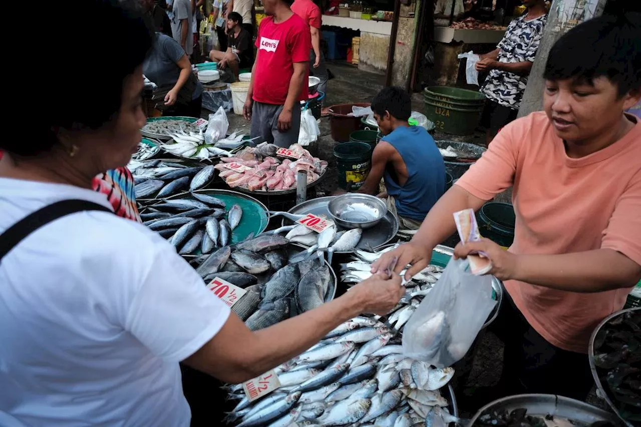 Majority of Filipinos Support Economic Reforms Proposed by Constitutional Amendments