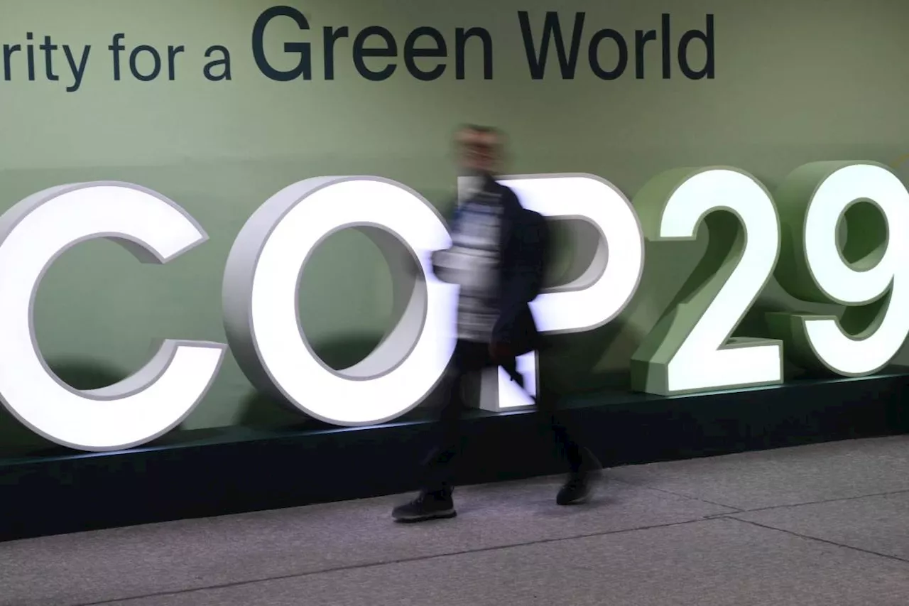 UN rules for carbon trading OKd at COP29