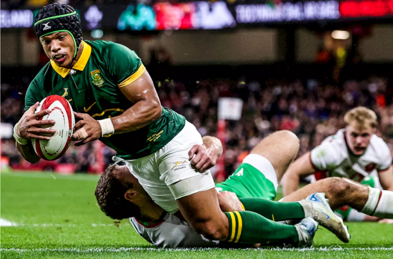 Springboks Crush Wales, All Blacks Edge Italy in Updated World Rugby Rankings