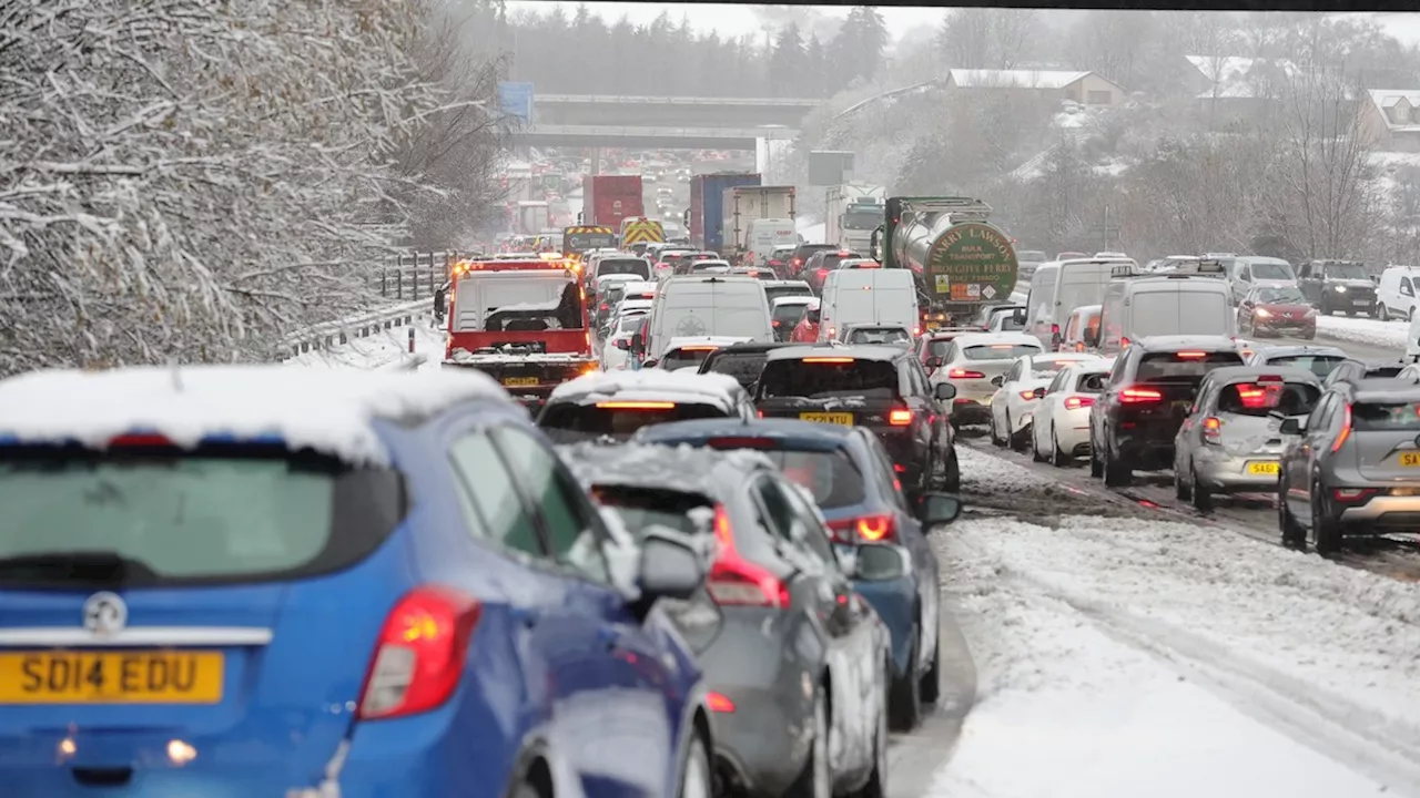 Wetter Deutschland: Auf Schnee folgt Blitz-Frühling – so warm wird es plötzlich