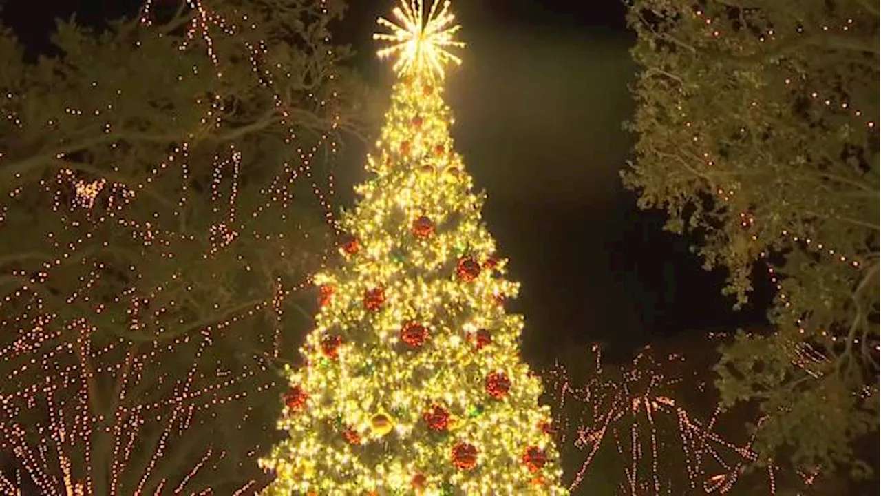 Holiday cheer shines bright at St. Augustine’s Night of Lights tree-lighting ceremony