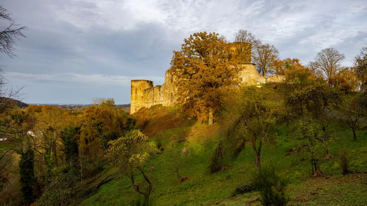 Mildes Wetter in Deutschland: Frühlingstage im November