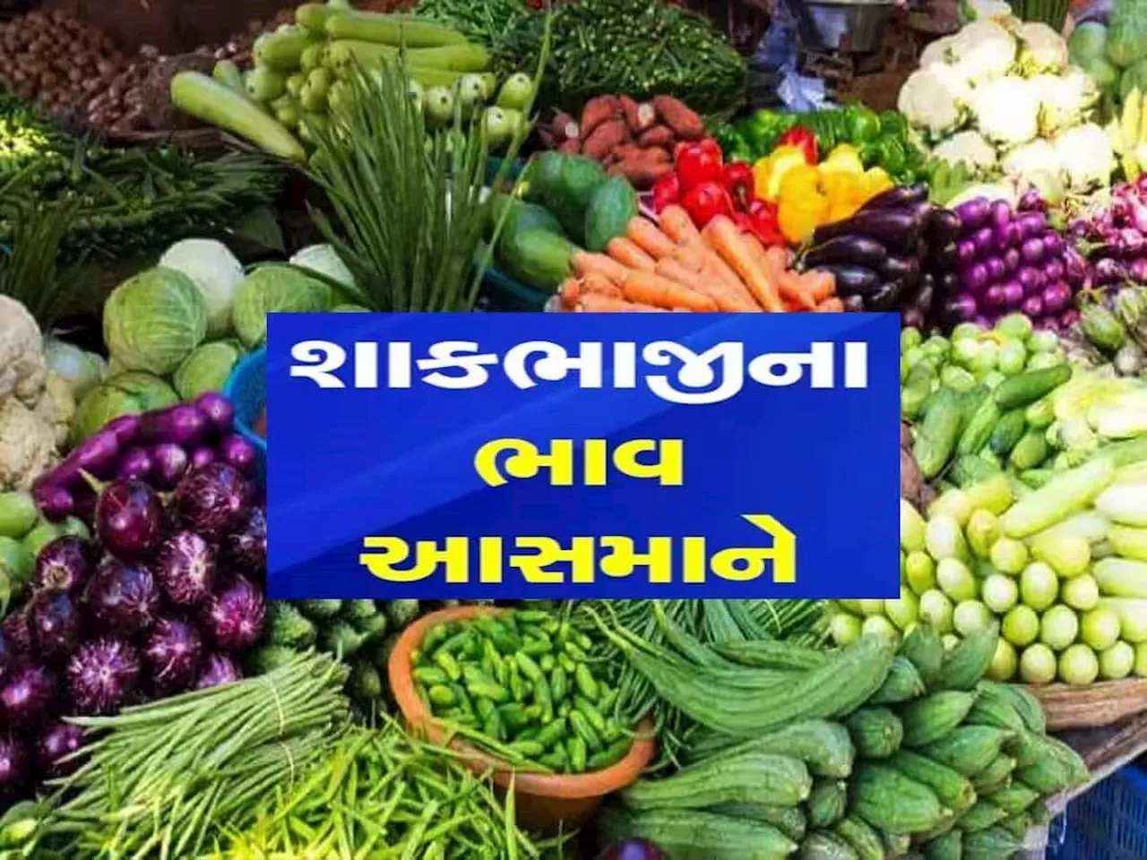 શિયાળામાં પણ શાકભાજીના ભાવ આસમાને, લસણ 500 રૂપિયામાં 1 કિલો, ગૃહિણીઓ પરેશાન