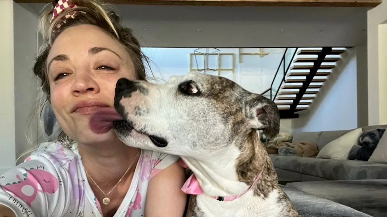 Kaley Cuoco talks past 'excruciating decision' to re-home dog: 'It's important to be honest'