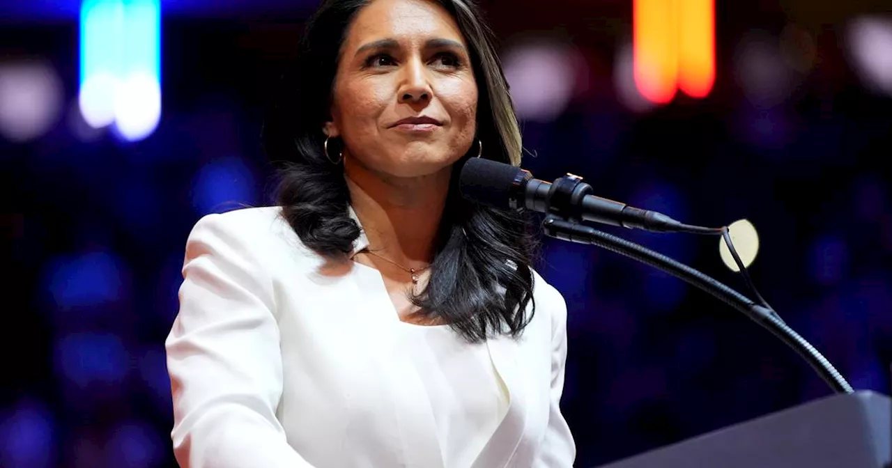 Republicans lash out at Democrats’ claims that Trump intelligence pick Gabbard is ‘compromised’