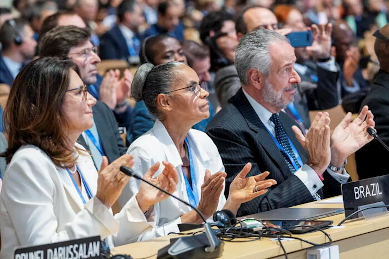 COP29 aprova meta financeira de US$ 300 bilhões por ano