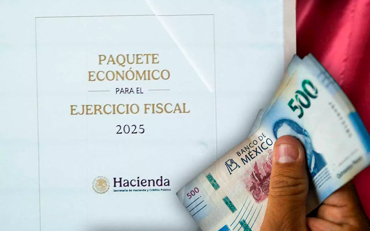 Recortes al gasto público en 2025 impactarán en sectores clave: Fundar México