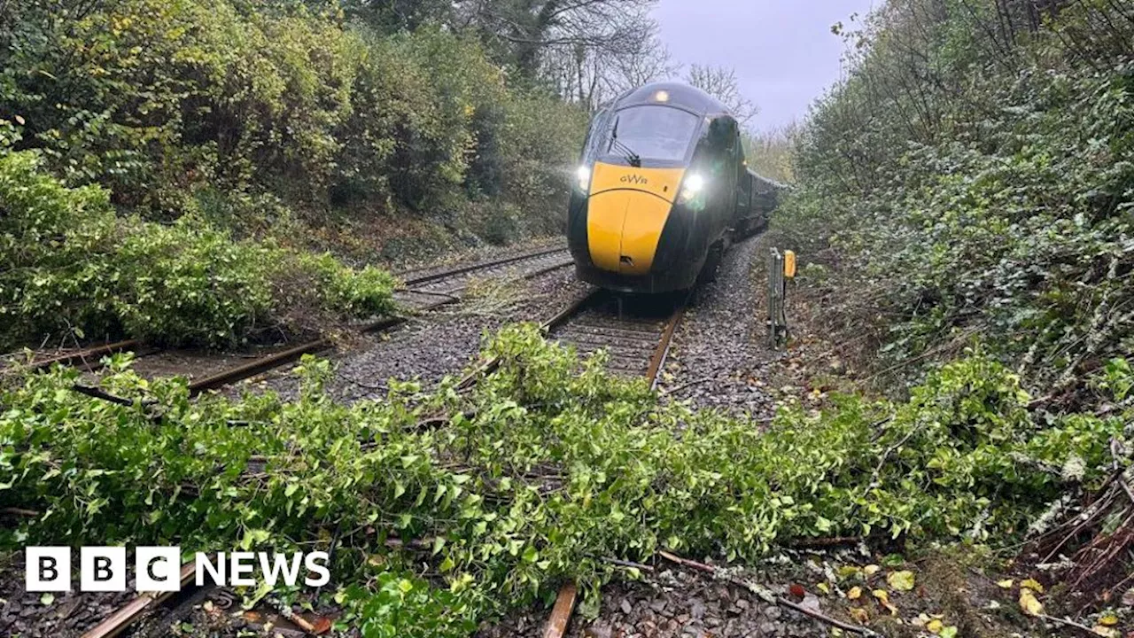 Trains cancelled in and out of Devon and Cornwall