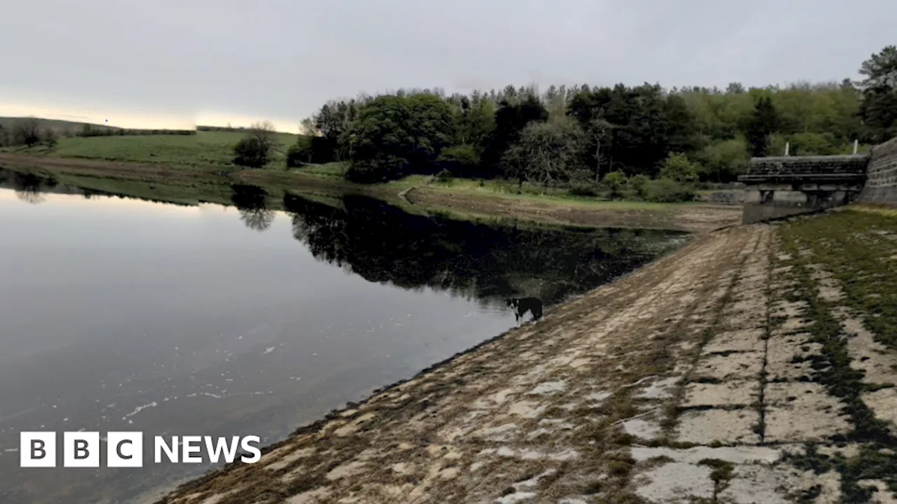 Yorkshire Dales National Park hydro plant could power 140 homes