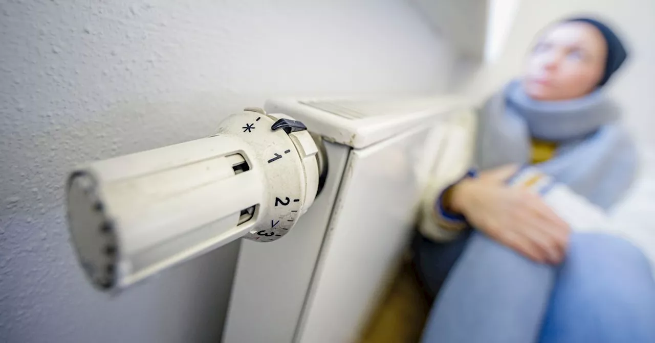 I'm a Heating Exper- here's a simple tip to maximise your radiators performance