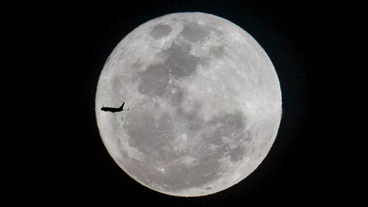 La 'mini Lune' s'en va: l'astéroïde 2024 PT5 s'éloigne de la Terre après avoir gravité deux mois à ses...