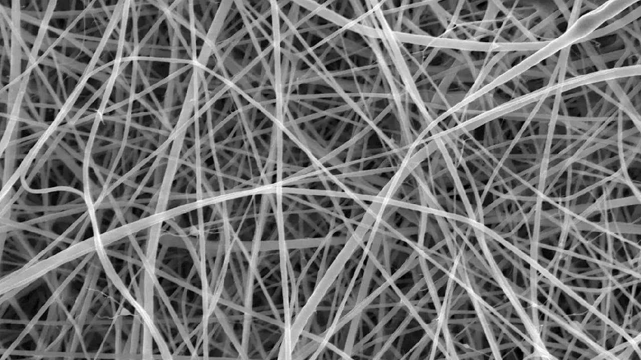 Entdecken Sie Nano-Spaghetti: Die dünnste Pasta der Welt