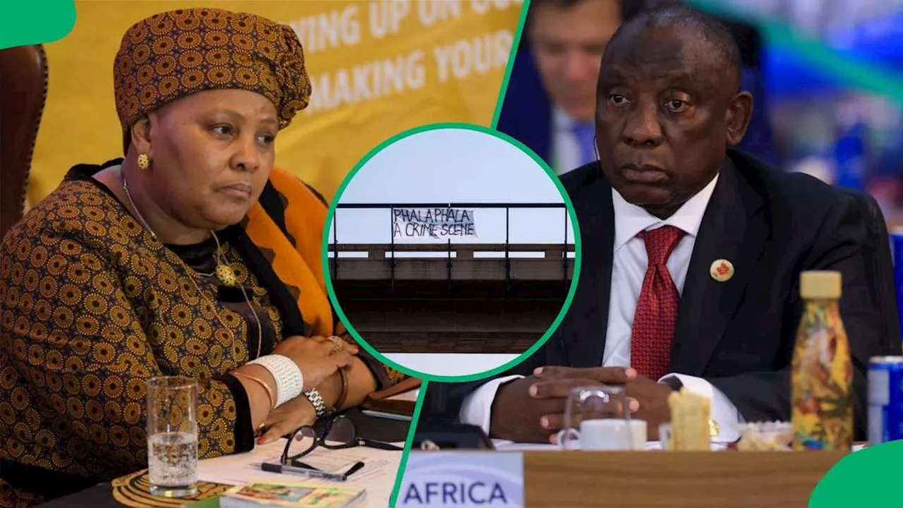 Nosiviwe Mapisa-Nqakula Says Phala Phala Inquiry Created Political Enemies