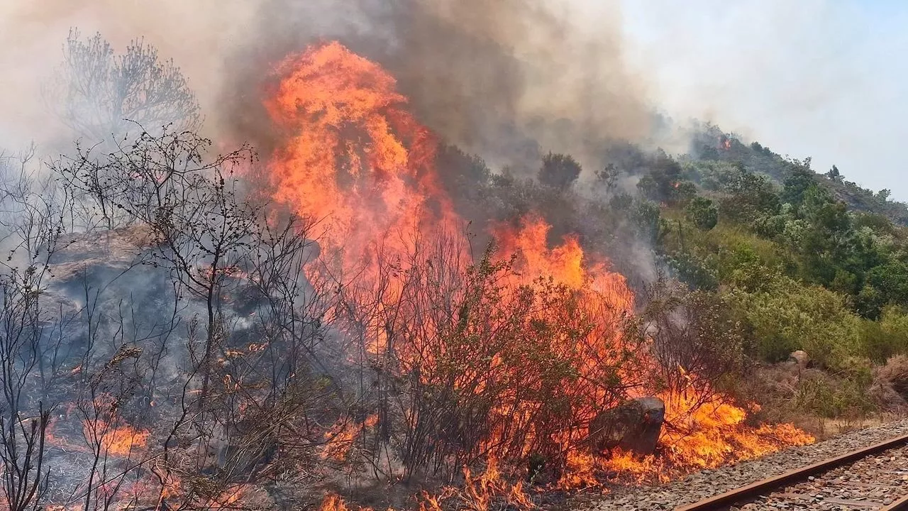 Mitchell's Pass: Fire crews face first big mountain fire of the season