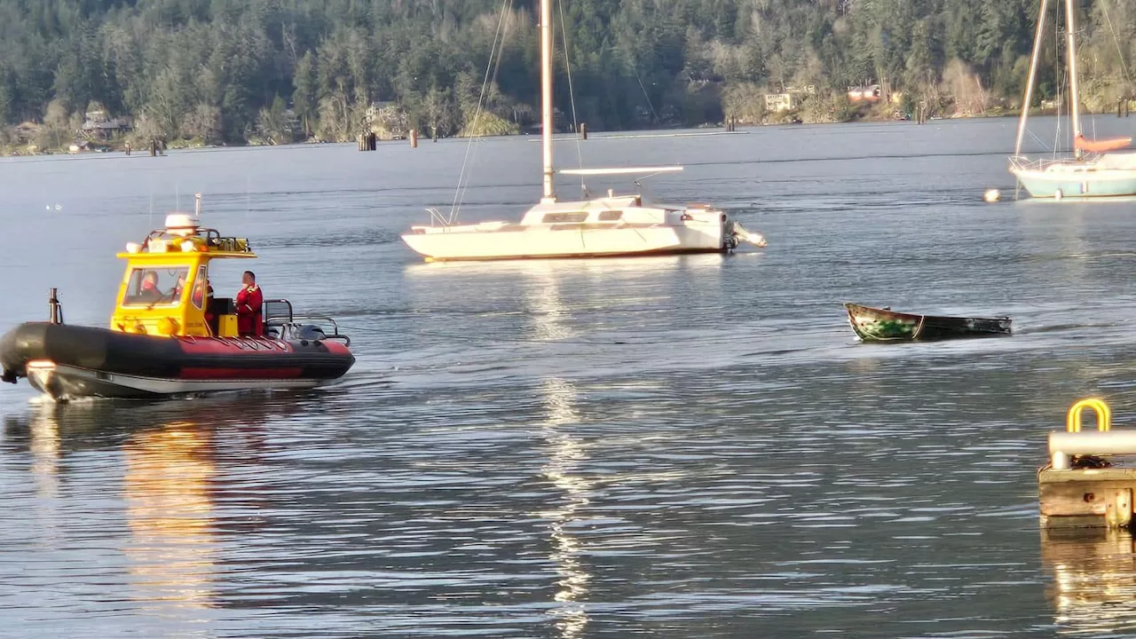 Hypothermic man found clinging to piling after boat capsizes in Cowichan Bay