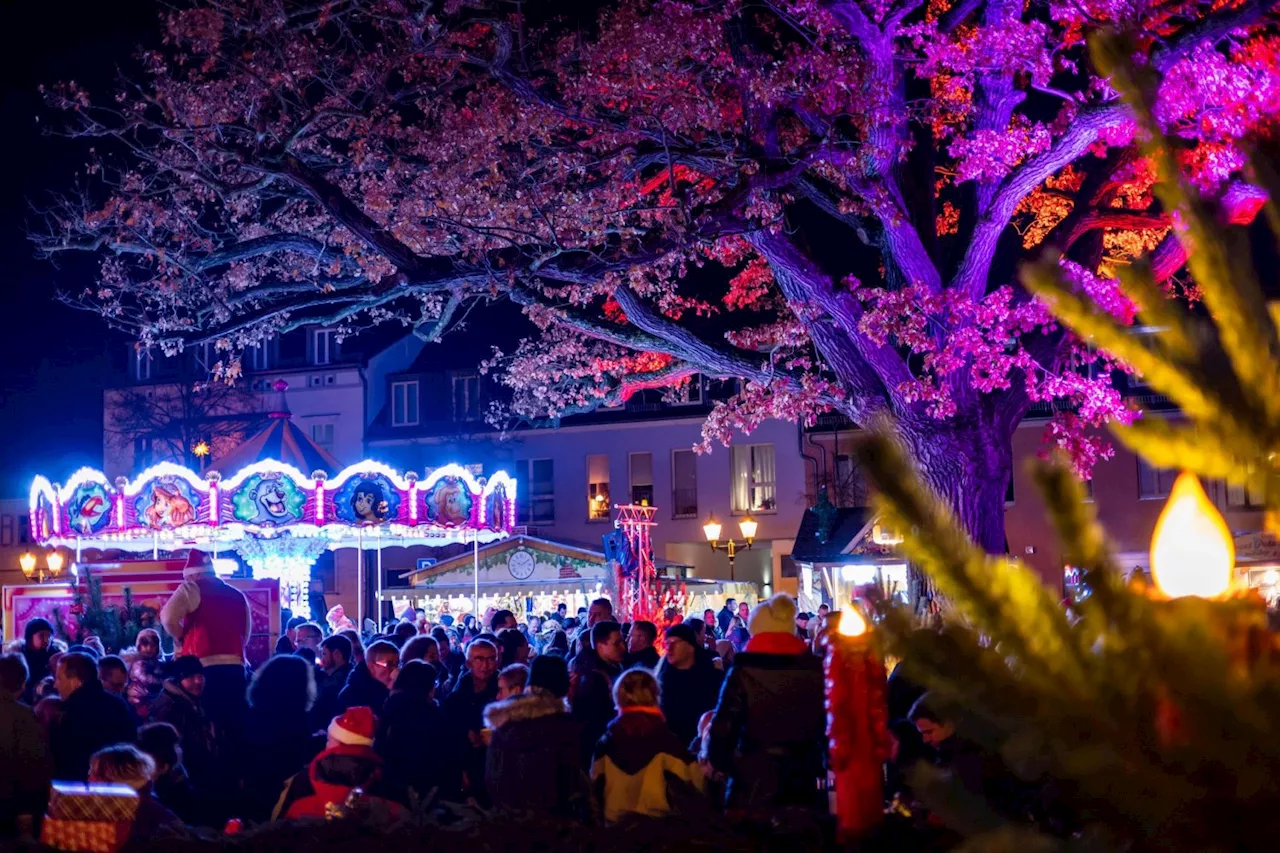 Weihnachtsmarkt am 1. Adventswochenende in Werder (Havel)