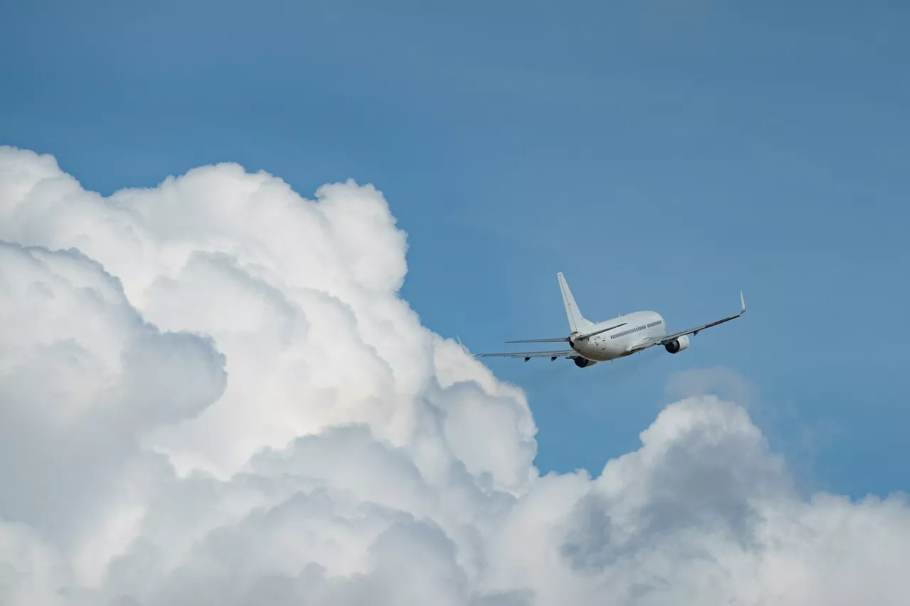 Panique en avion : un passager fini bâillonné avec du scotch pour une raison déroutante