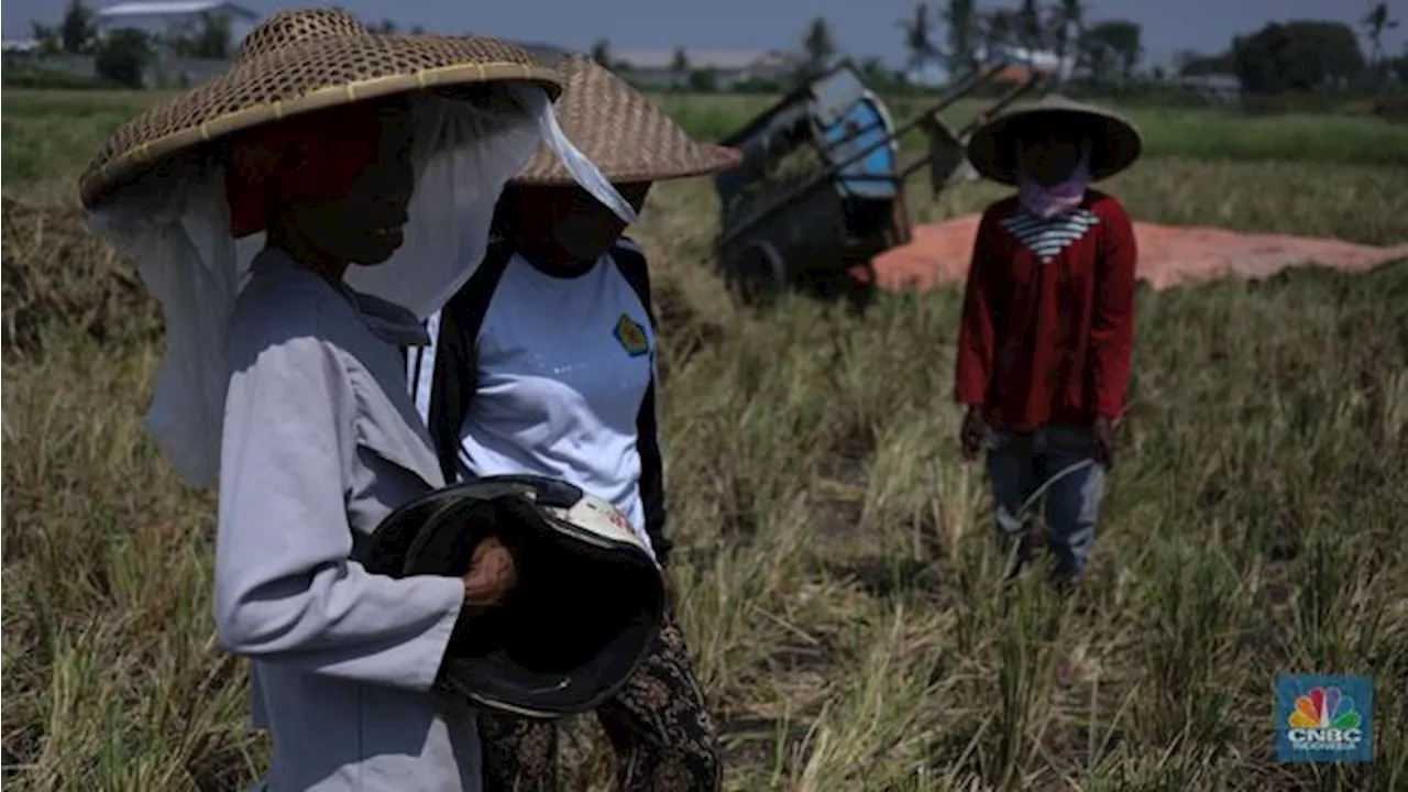 OJK Ingin Perbankan Segera Implementasi Hapus Utang Macet UMKM