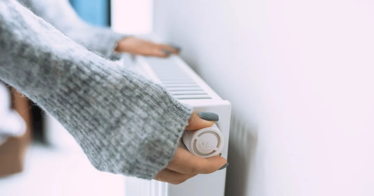 Heating expert shares task to 'help lower bills' ahead of Ofgem price cap rise