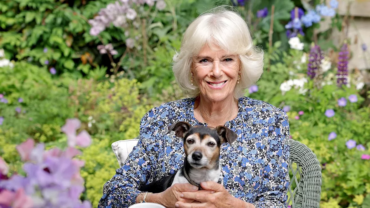 King Charles Promises New Dog for Queen Camilla After Beloved Beth's Passing