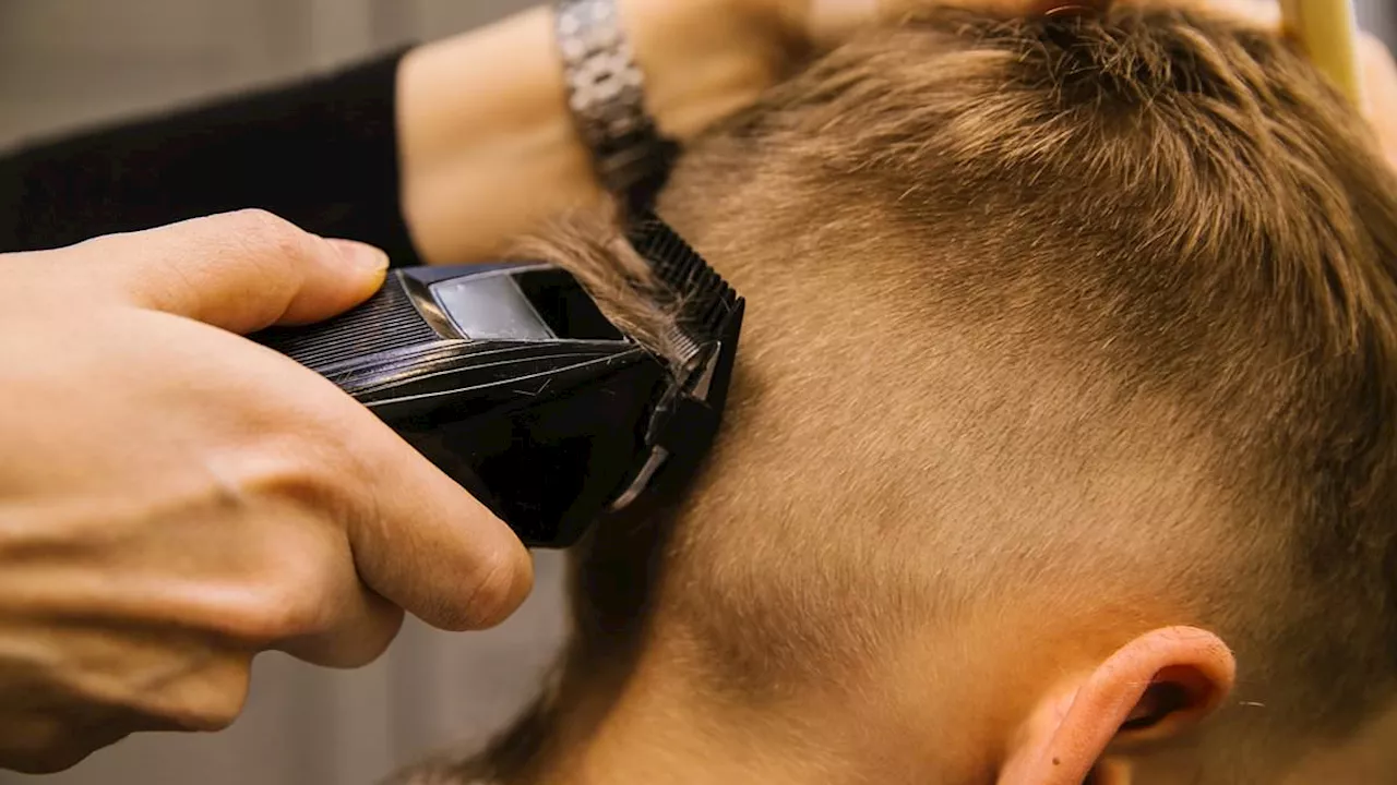 Subtle warning signs that YOUR barber is filthy...after surge in ringworm linked to unsanitary...