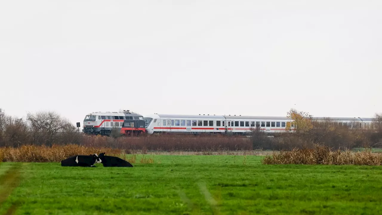 Bauarbeiten auf der Strecke: Bahn streicht Zugverbindungen von und nach Sylt zeitweise