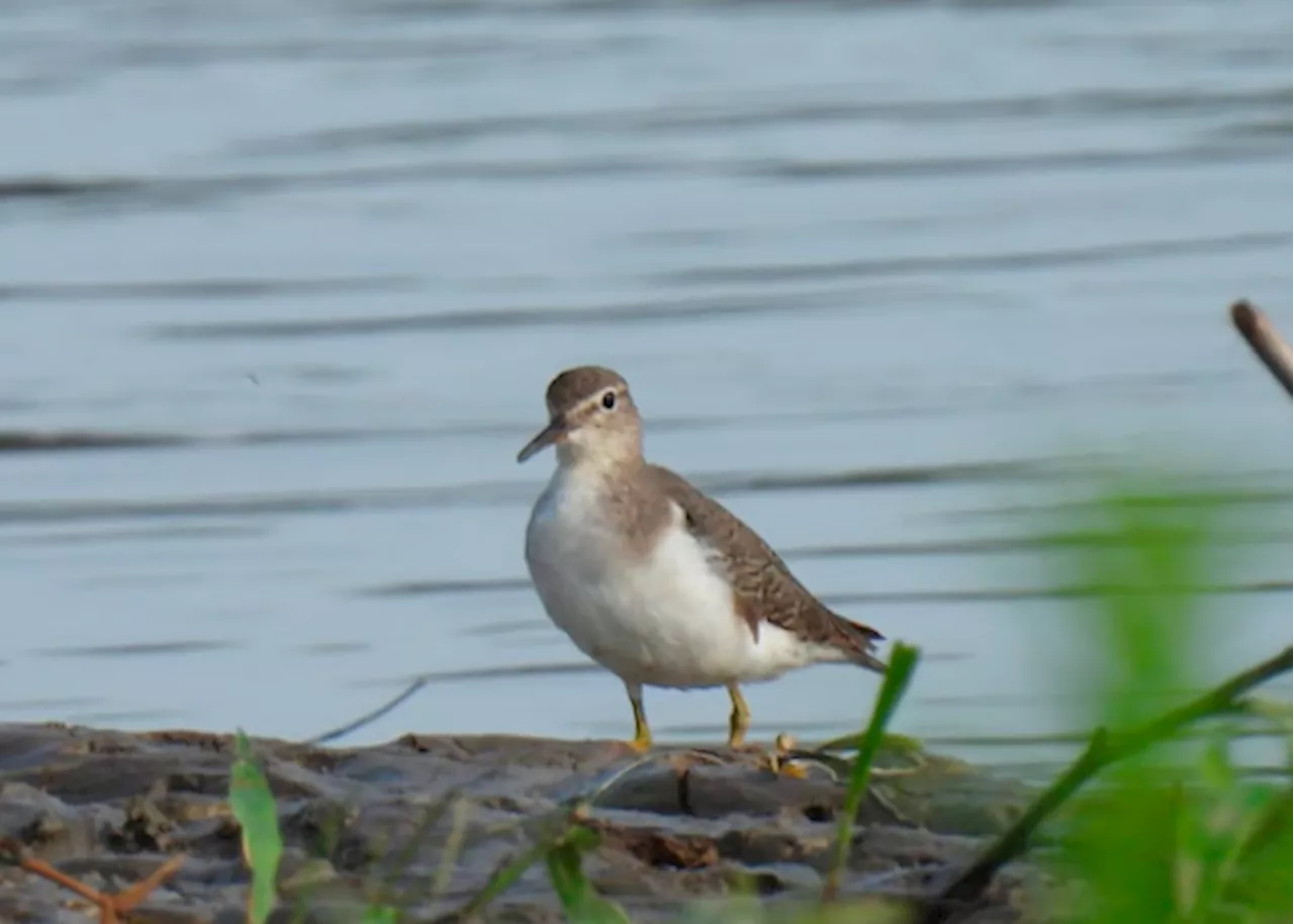 Creación y ampliación de áreas protegidas: impulso a la conservación en Colombia