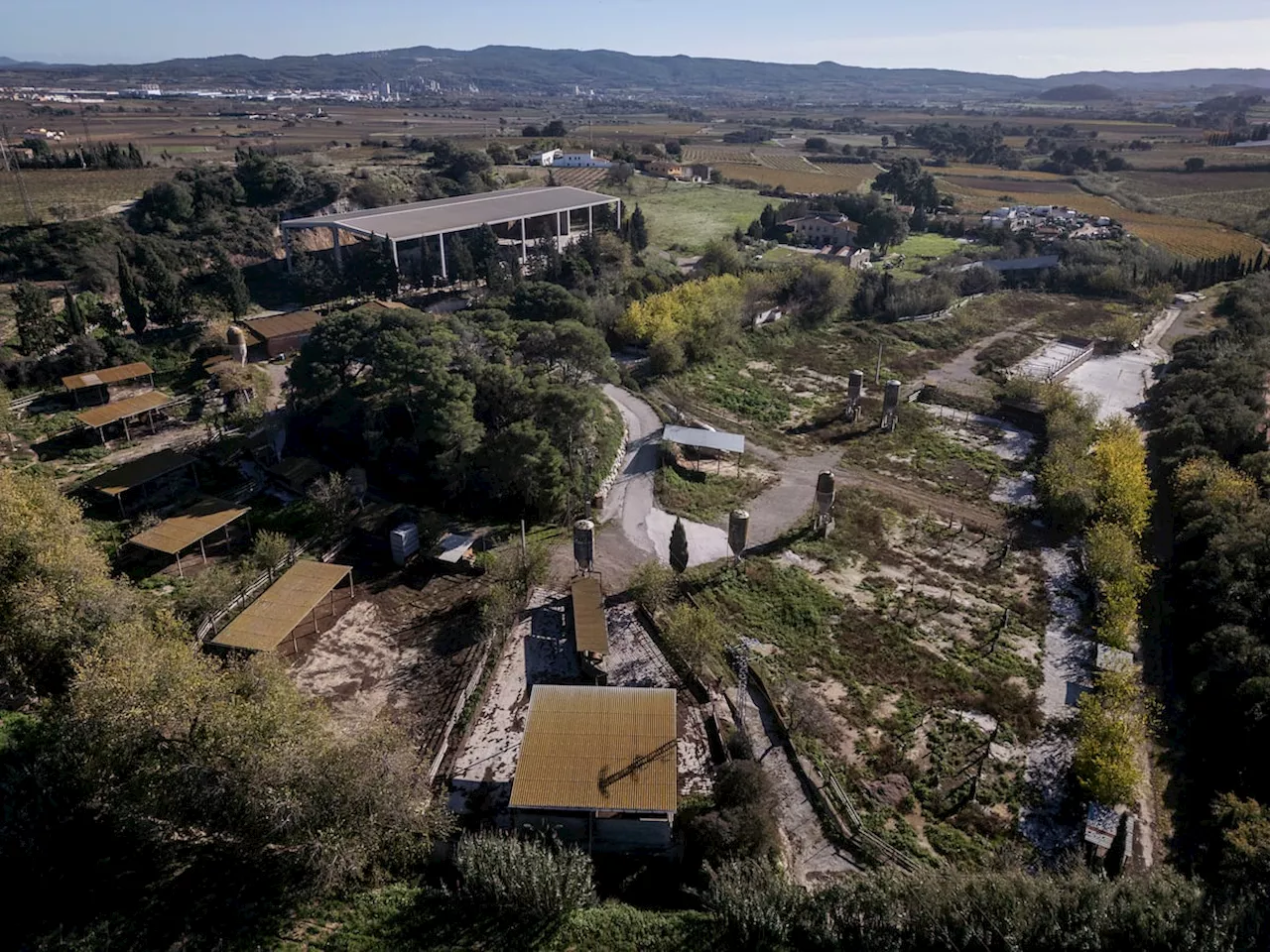 Juicio penal por conflicto de un estercolero en Castellví de la Marca