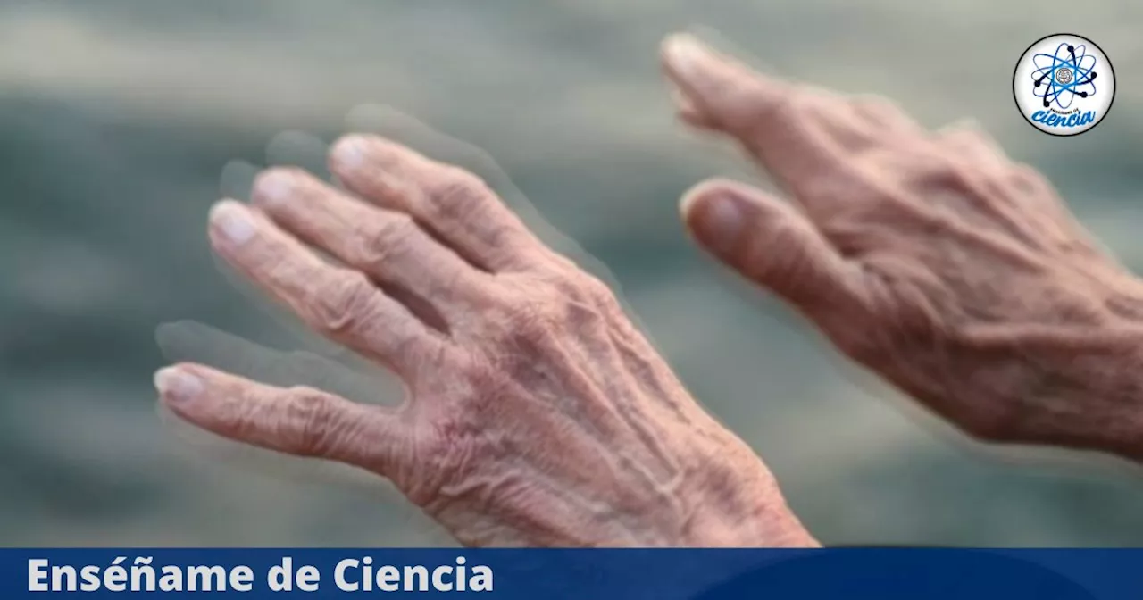 Científicos desarrollan una nueva terapia que promete frenar los avances del Parkinson