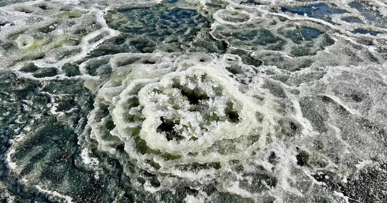 Rare mirabilite formations spotted on Great Salt Lake