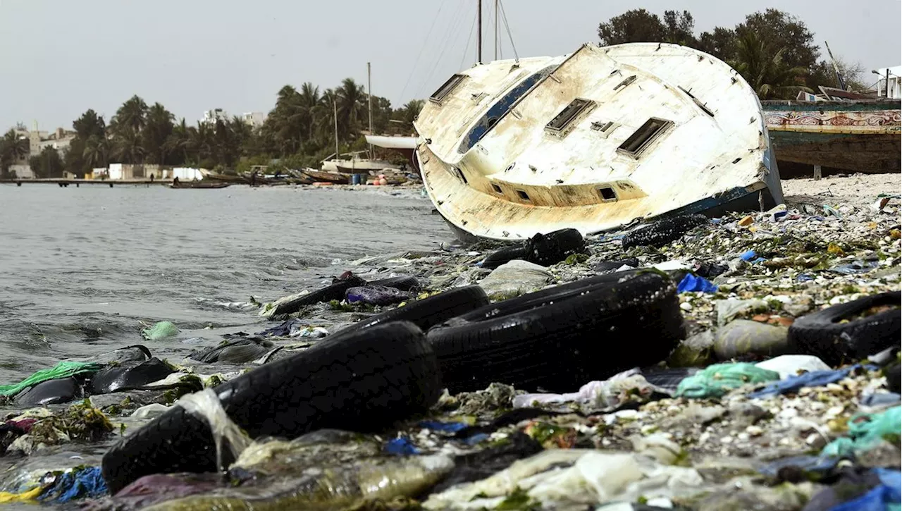 'Zéro déchet Sénégal' : à Dakar, la lutte contre la pollution plastique s'organise