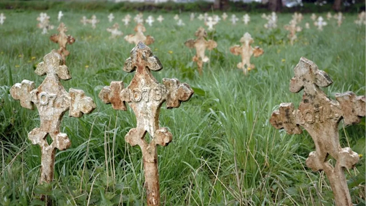 The Madman's Hotel: Uncovering the Story of Julia Leonard and St Loman's Asylum