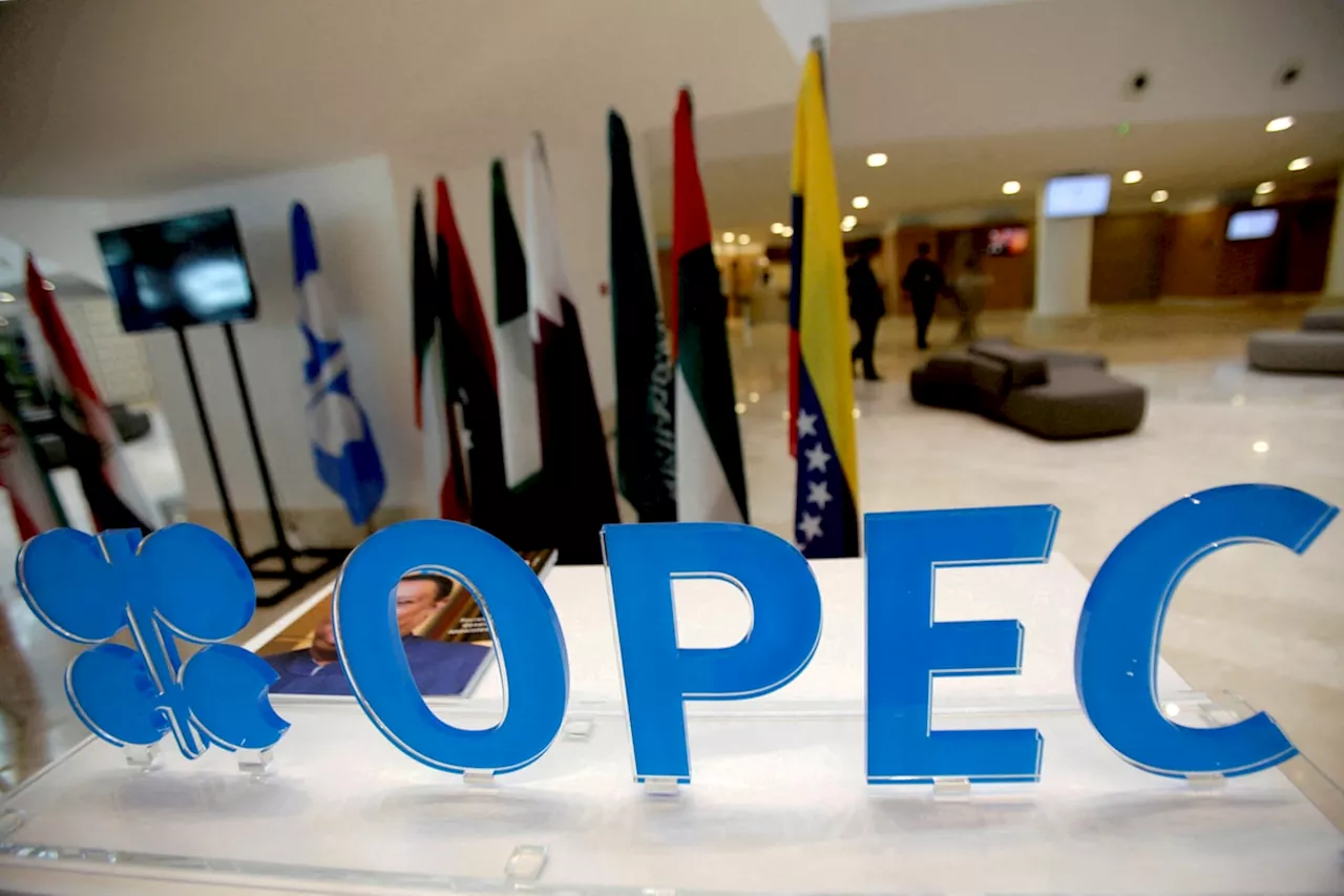 OPEC+ to hold Dec. 1 oil policy meeting online, sources say