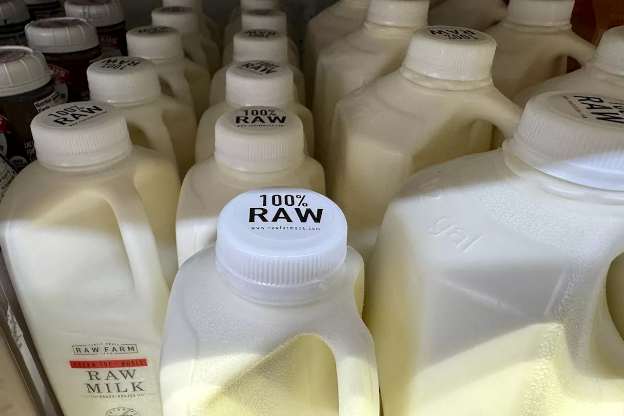 Raw milk from a California dairy is recalled after routine testing detected the bird flu virus